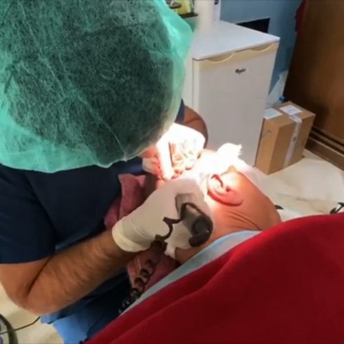 Amerikan Hair Center : prise de rdv en ligne